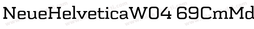 NeueHelveticaW04 69CmMd字体转换